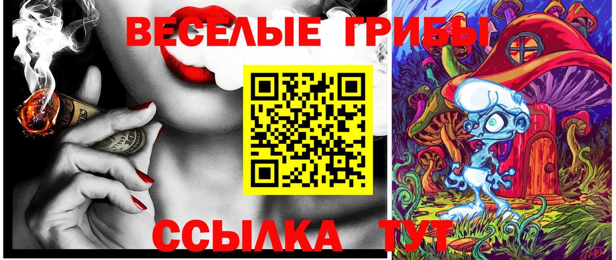 Боровичи  Псилоцибиновые грибы Psilocybe  Вход с VPN  Галлюциногенные грибы MAGIC MUSHROOMS 