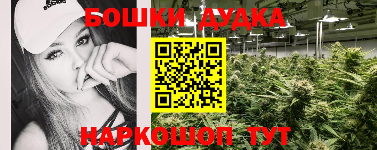 Бошки Шишки планчик Боровичи